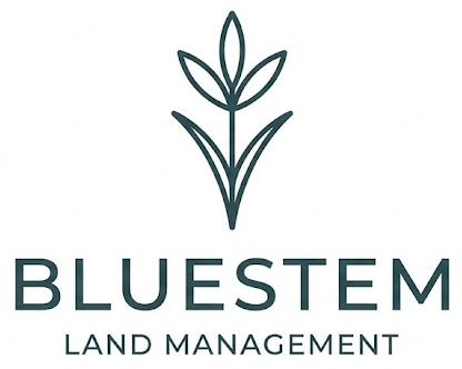 Bluestem